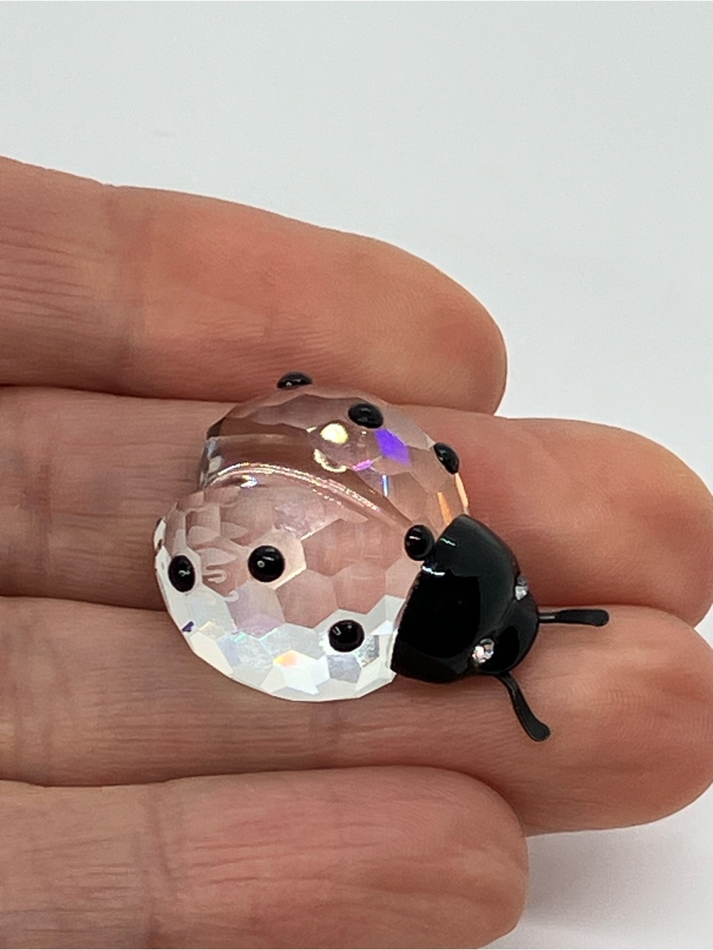 Swarovski Crystal LadyBug Lady Bug Mini 190858 Clear Crystal Black Head & Spots - Picture 6 of 10